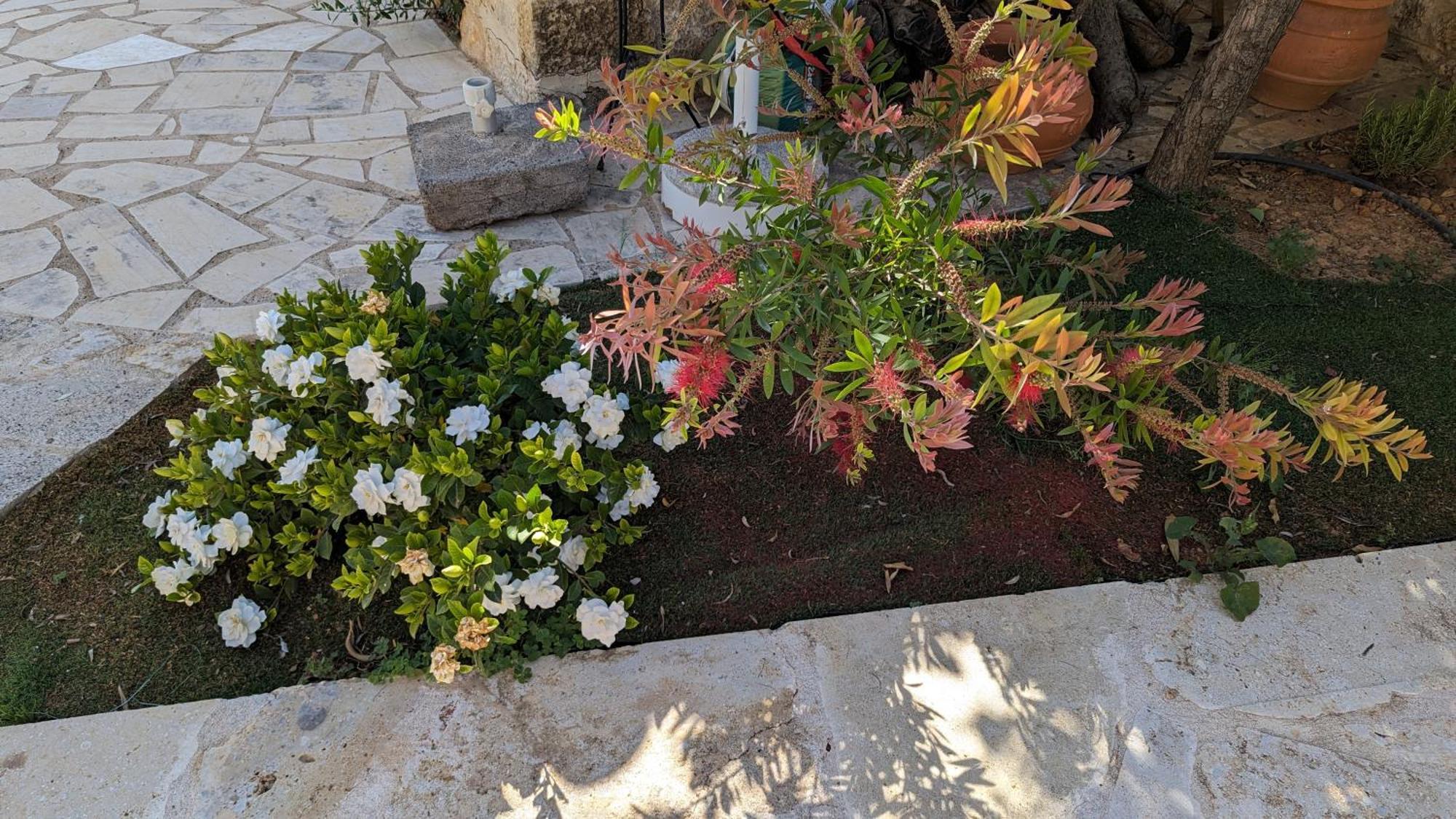 קרדמילי Magnificent, Authentic Private Villa And The Guest House מראה חיצוני תמונה